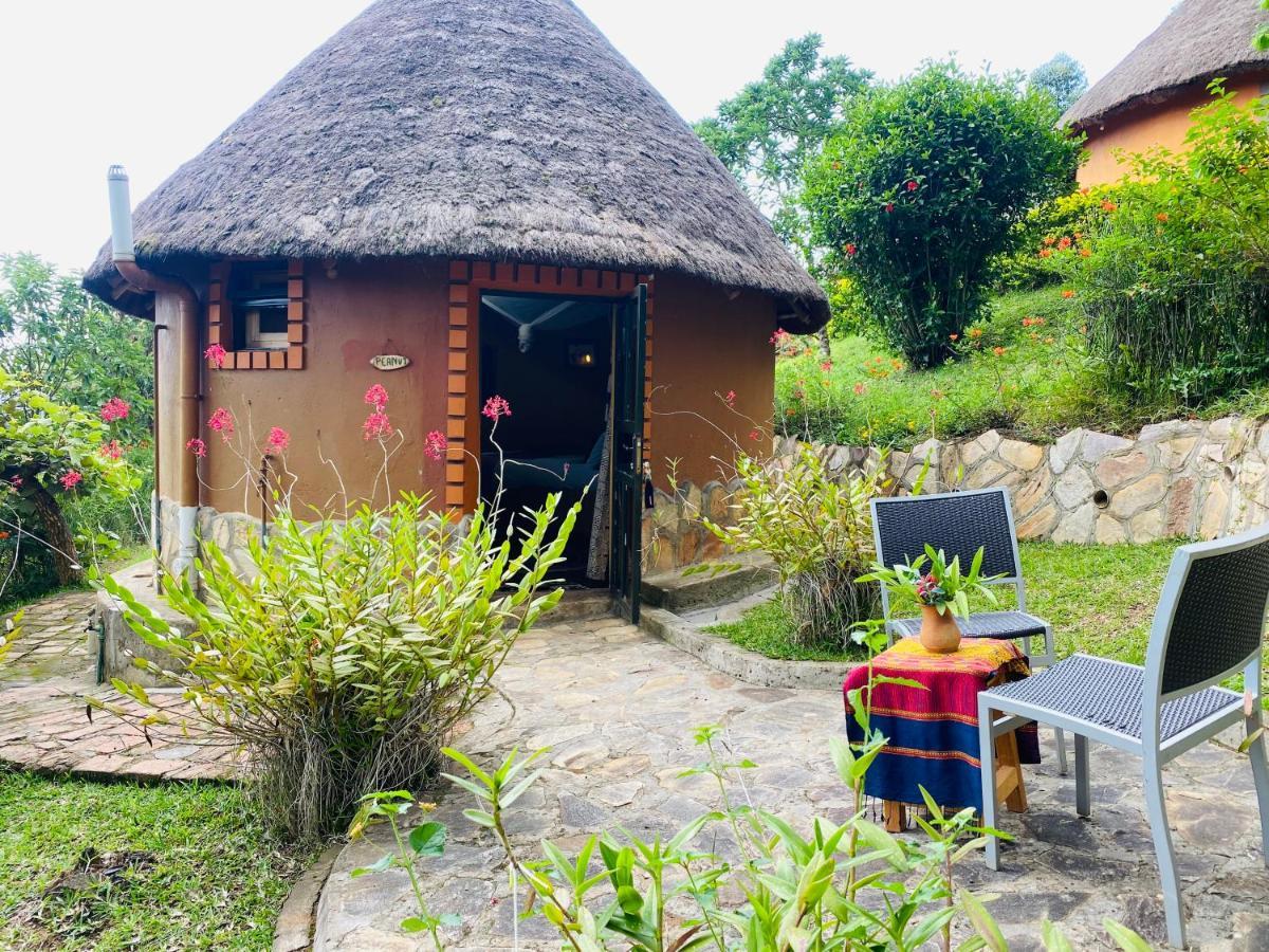 Nyore Hillside Retreat Mbarara Εξωτερικό φωτογραφία