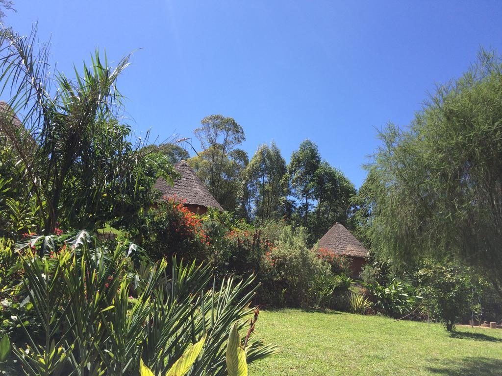 Nyore Hillside Retreat Mbarara Εξωτερικό φωτογραφία