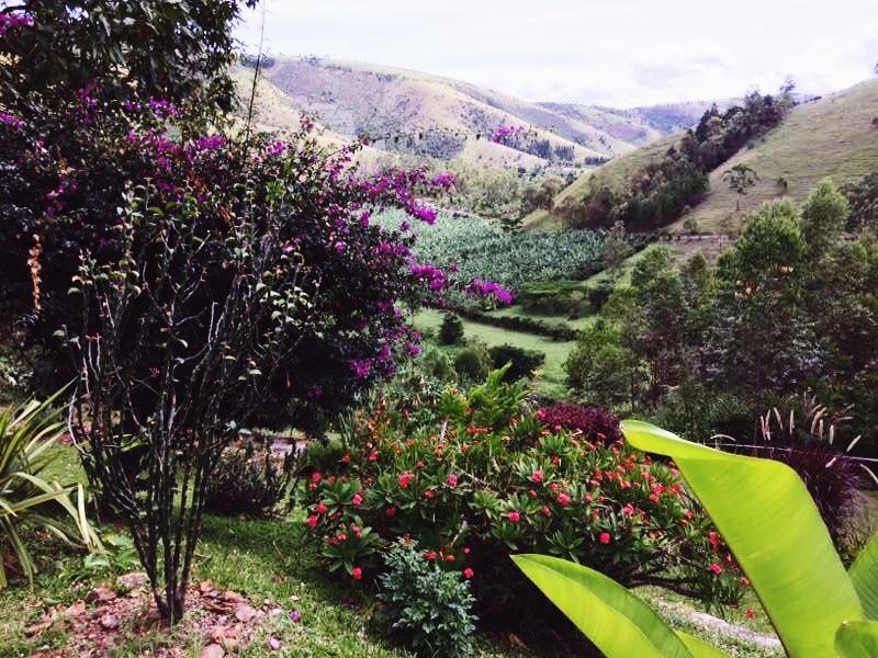 Nyore Hillside Retreat Mbarara Εξωτερικό φωτογραφία